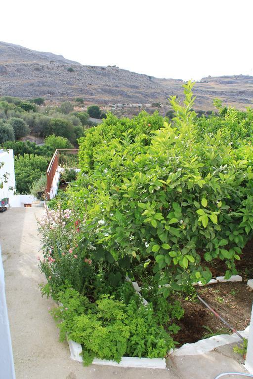 Apartmán Electra