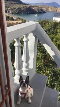 Electra Apartmán Líndos